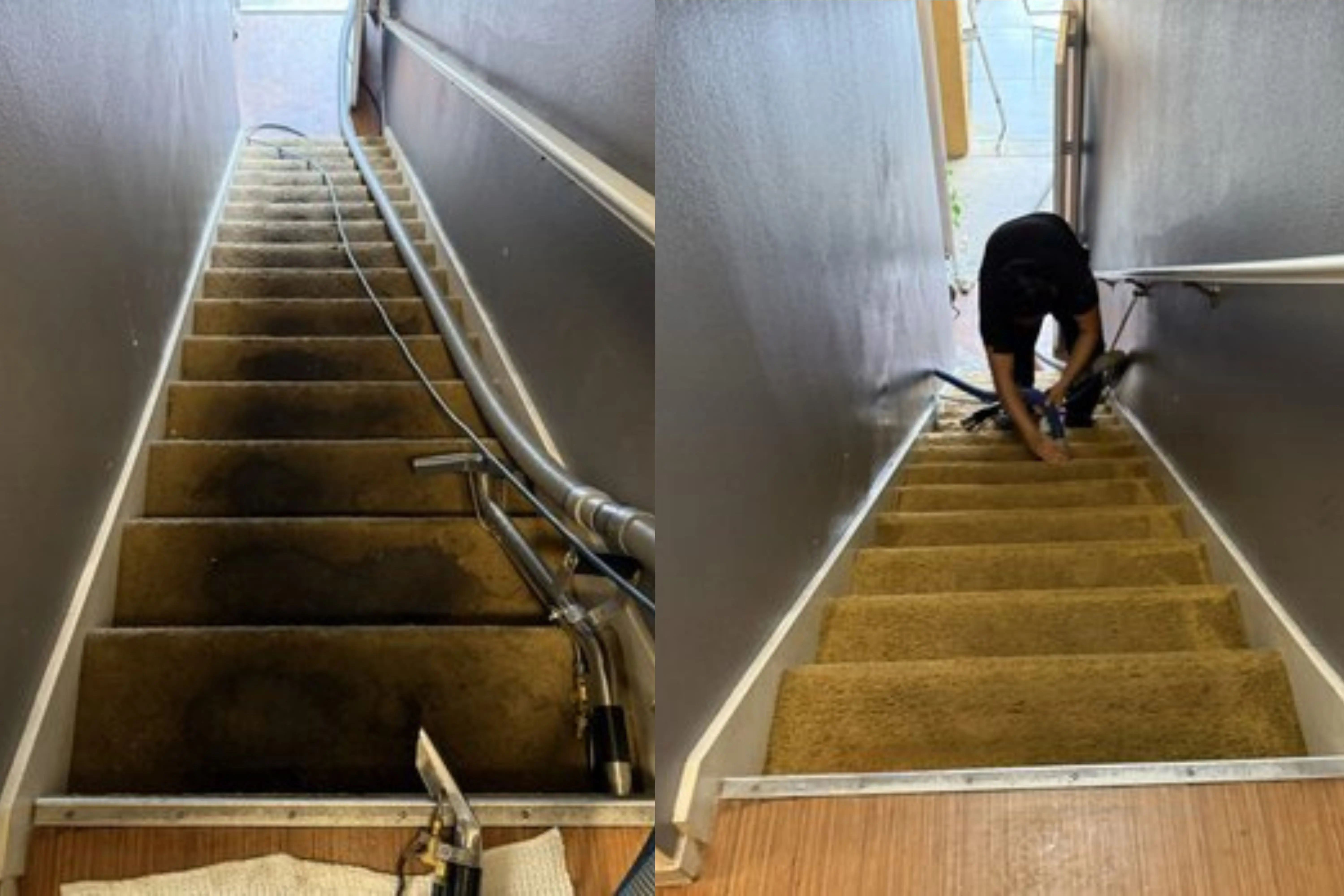 Staircase Carpet Restoration