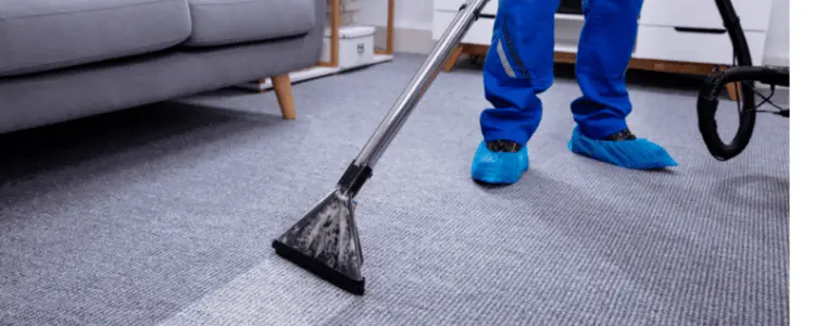 A uniformed technician wearing blue protective shoe covers uses a steam wand to clean a grey carpet, revealing a visible contrast between the clean and dirty sections. This demonstrates the effectiveness of professional stain removal in Los Gatos.